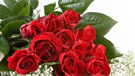 Ý nghĩa 11 bông hồng trong tình yêu