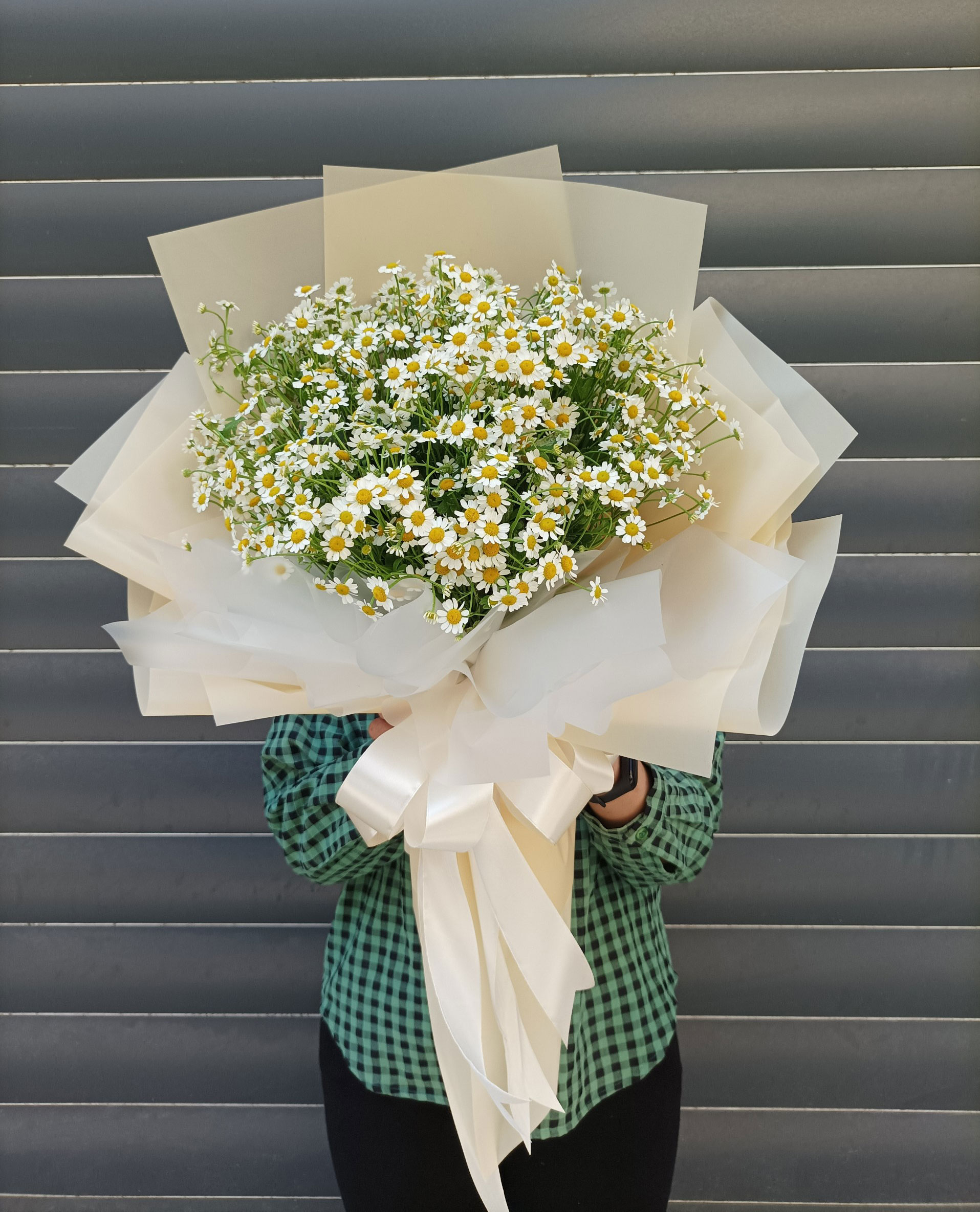Hoa cúc tana tặng sinh nhật người yêu ngọt ngào