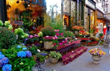 Shop hoa tươi TPHCM đặt hoa online, giao tận nơi giá tốt