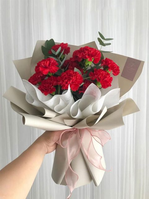 bó hoa cẩm chướng đỏ
