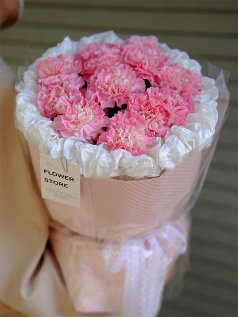 bó hoa cẩm chướng hồng 0187